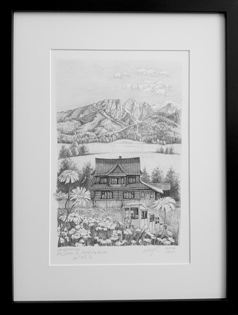 Wolf, Zakopane. Pejzaż z Gubałówki