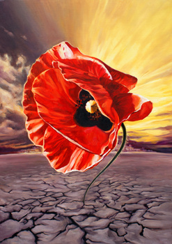 Wolf Maja, Nadzieja I