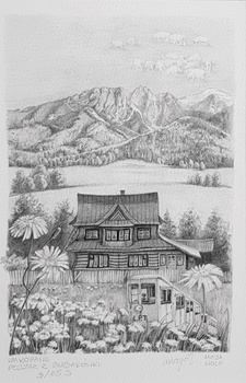 Wolf, Zakopane. Pejzaż z Gubałówki